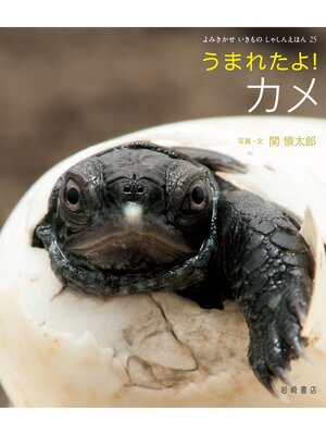 cover image of うまれたよ!カメ